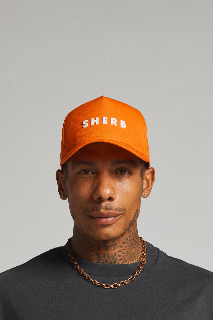SHERB OG Panel Snap Back